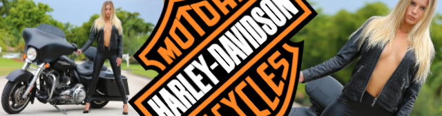 Photos by Ralph for Harley Davidson of Chandler - Live Event Photography, Live Venue Photographer, and Documentary Photography Services - Hollywood, Los Angeles, Las Vegas, South Beach, Miami - 323-907-5069 Hermosa Beach Marketing