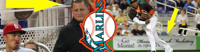 Ralph working as Photographer at Marlins Park - Sports Photography Services - Hollywood, Los Angeles, Las Vegas, South Beach, Miami - 323-907-5069 Hermosa Beach Marketing