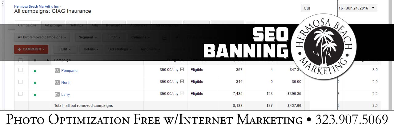 SEO Internet Marketing Banning SEO Internet Marketing