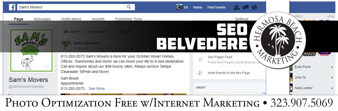 SEO Internet Marketing Belvedere SEO Internet Marketing
