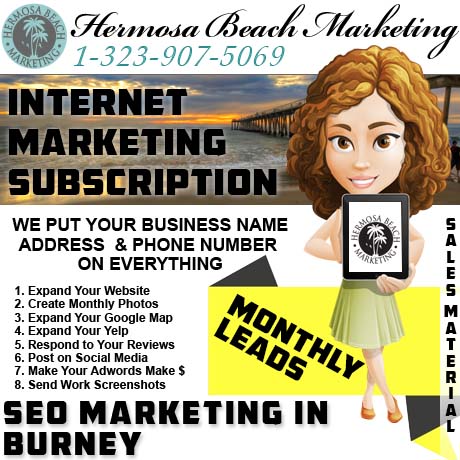 SEO Internet Marketing Burney SEO Internet Marketing