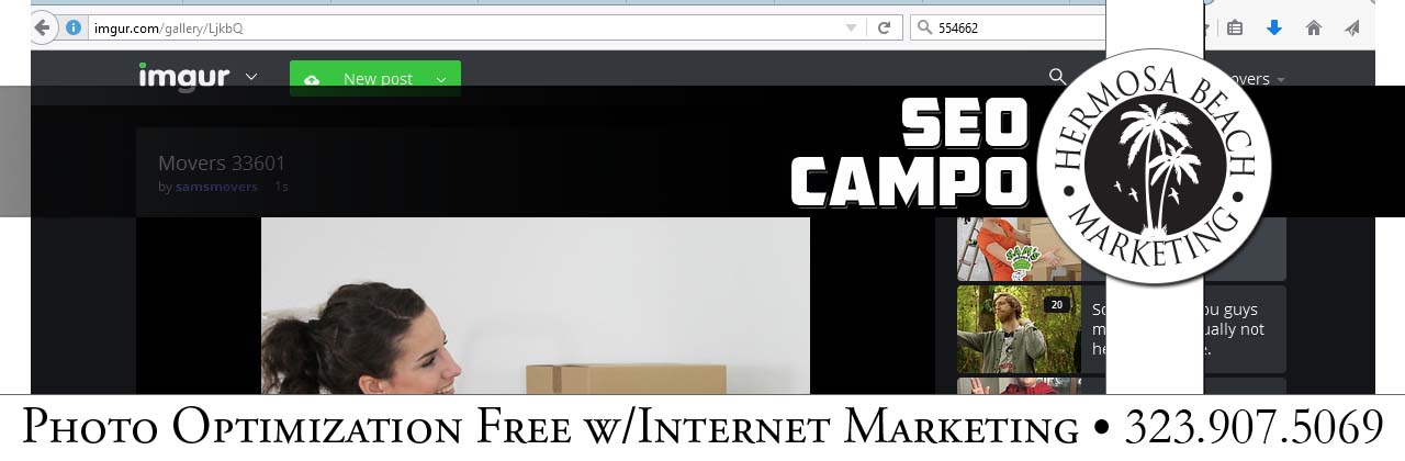 SEO Internet Marketing Campo SEO Internet Marketing