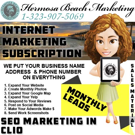 SEO Internet Marketing Clio SEO Internet Marketing