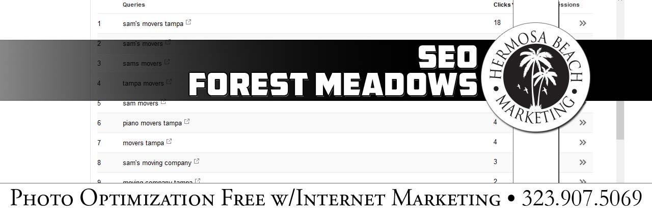SEO Internet Marketing Forest Meadows SEO Internet Marketing