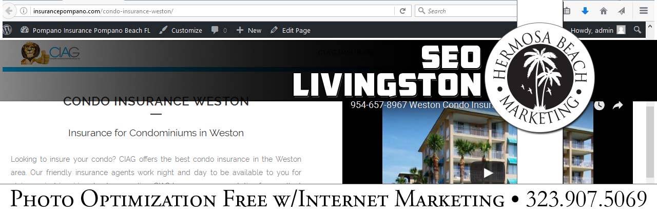 SEO Internet Marketing Livingston SEO Internet Marketing