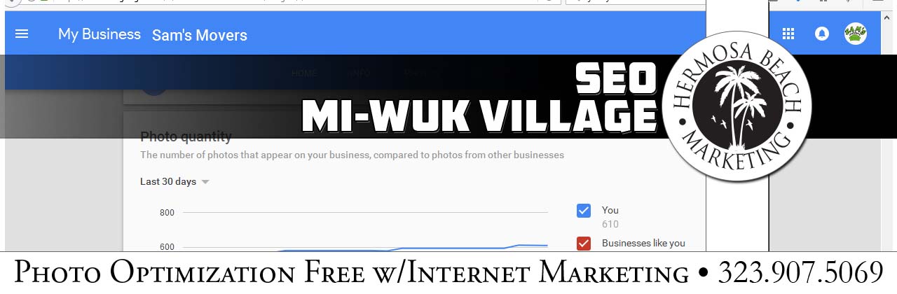 SEO Internet Marketing Mi-Wuk Village SEO Internet Marketing