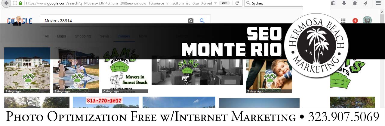 SEO Internet Marketing Monte Rio SEO Internet Marketing