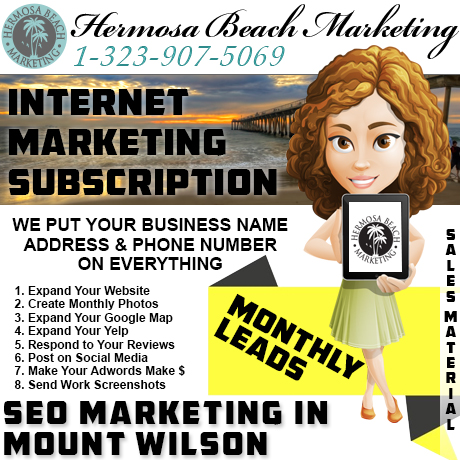 SEO Internet Marketing Mount Wilson SEO Internet Marketing